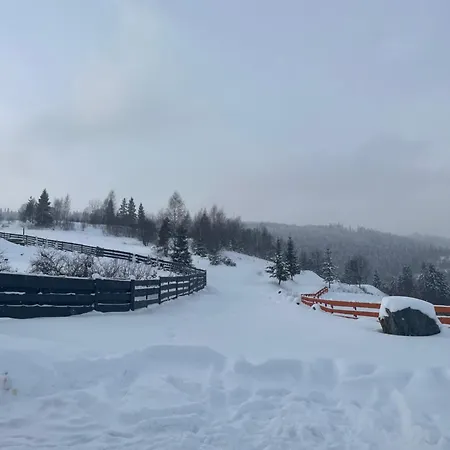 легіт