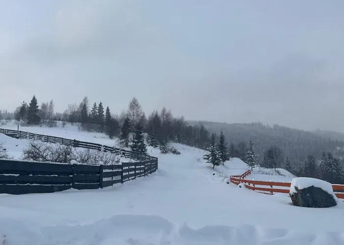 легіт